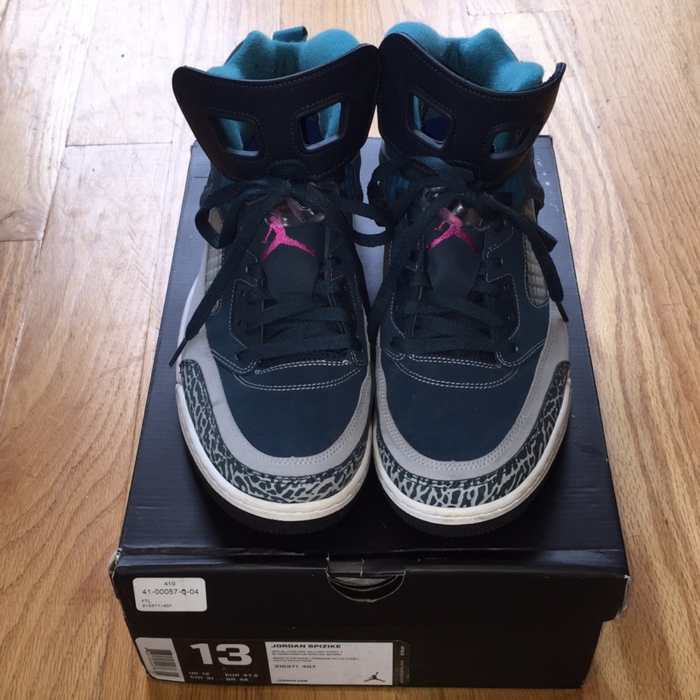 Amazing pair of gently used Jordan Spizikes!